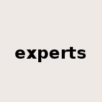 experts是什么意思