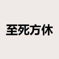 至死方休是什么意思