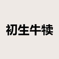 初生牛犊不怕虎是什么意思