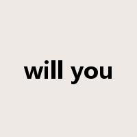 will you是什么意思
