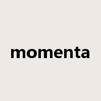 momenta是什么意思
