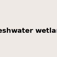 freshwater wetland是什么意思