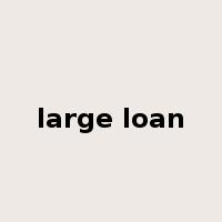 large loan是什么意思