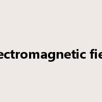 electromagnetic field是什么意思