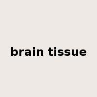 brain tissue是什么意思