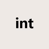 int是什么意思