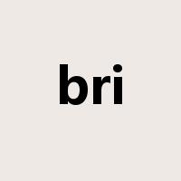bri是什么意思