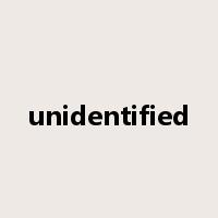 unidentified是什么意思