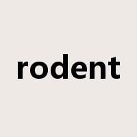 rodent是什么意思