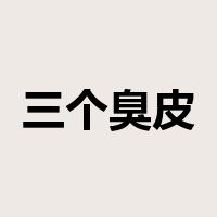 三个臭皮匠，赛过诸葛亮是什么意思