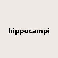hippocampi是什么意思