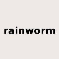 rainworm是什么意思
