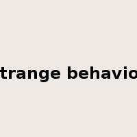 strange behavior是什么意思