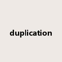 duplication是什么意思