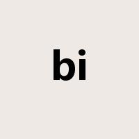 bi是什么意思