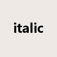 italic是什么意思