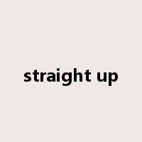 straight up是什么意思