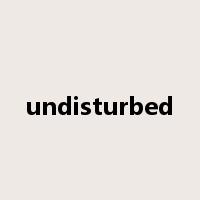 undisturbed是什么意思