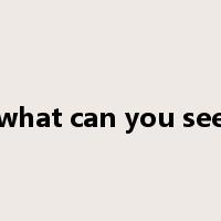 what can you see是什么意思