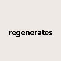 regenerates是什么意思