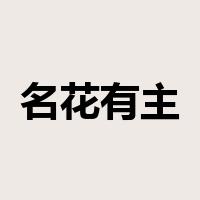 名花有主是什么意思