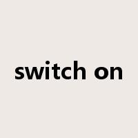switch on是什么意思