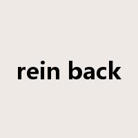 rein back是什么意思