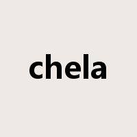 chela是什么意思