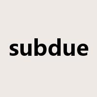 subdue是什么意思