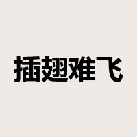 插翅难飞是什么意思