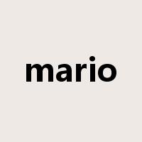 mario是什么意思