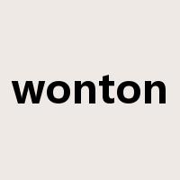 wonton是什么意思