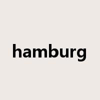 hamburg是什么意思
