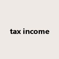 tax income是什么意思