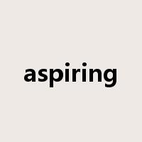aspiring是什么意思