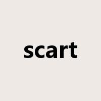 scart是什么意思
