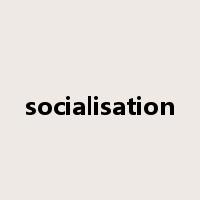 socialisation是什么意思