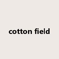 cotton field是什么意思