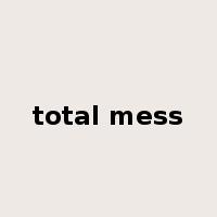 total mess是什么意思
