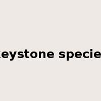 keystone species是什么意思