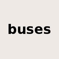 buses是什么意思