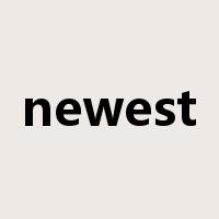 newest是什么意思