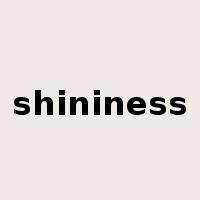 shininess是什么意思