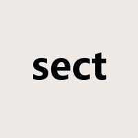 sect是什么意思