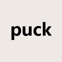puck是什么意思