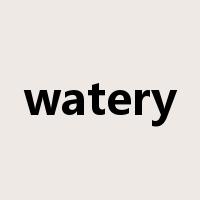 watery是什么意思
