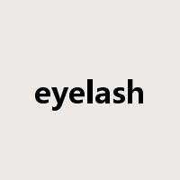 eyelash是什么意思