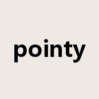 pointy是什么意思