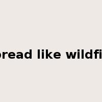 spread like wildfire是什么意思