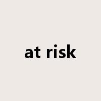 at risk是什么意思